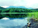urdreamstore-com2b001040.jpg