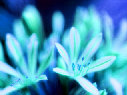 urdreamstore-com2b001041.jpg