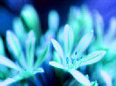 urdreamstore-com2b002045.jpg