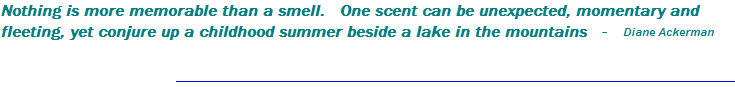 urdreamstore-com2b011041.jpg