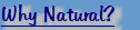 urdreamstore-com2b037004.jpg