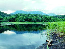 urdreamstore-com2b041042.jpg
